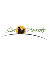 Sun Parrots
